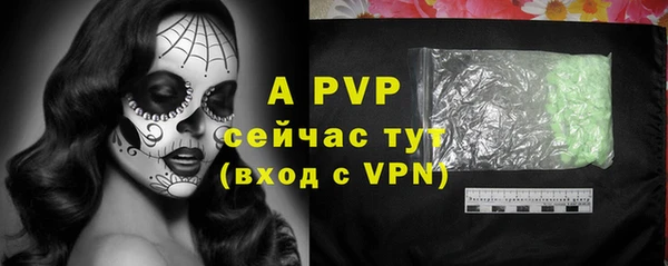 хмурый Инсар