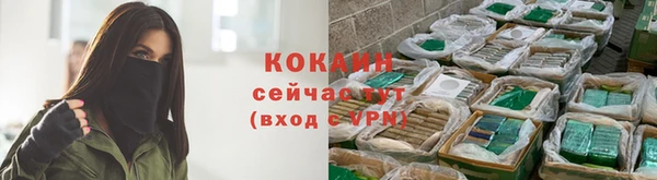 хмурый Инсар