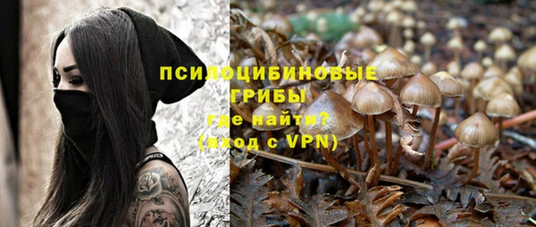 хмурый Инсар