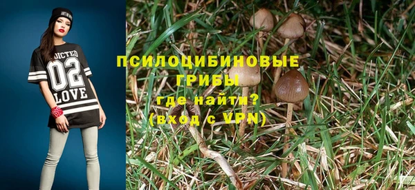 хмурый Инсар